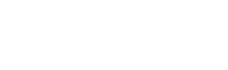 SAAB white logotype